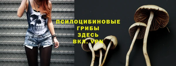 PSILOCYBIN Магас