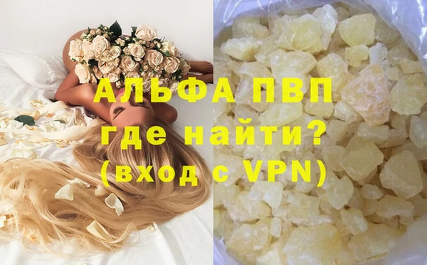PSILOCYBIN Магас