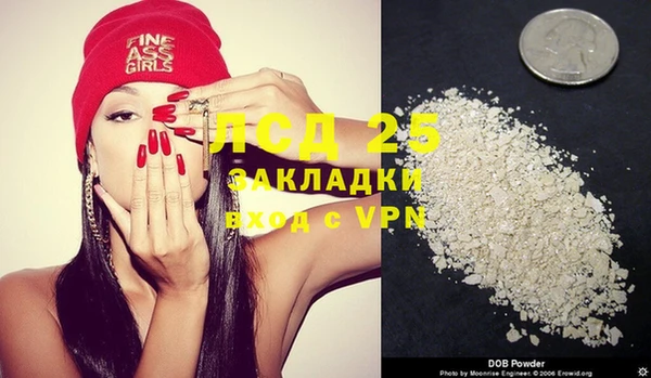 PSILOCYBIN Магас