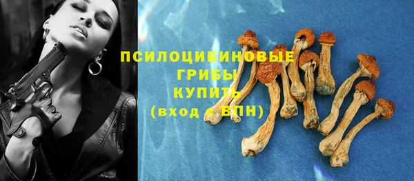 PSILOCYBIN Магас
