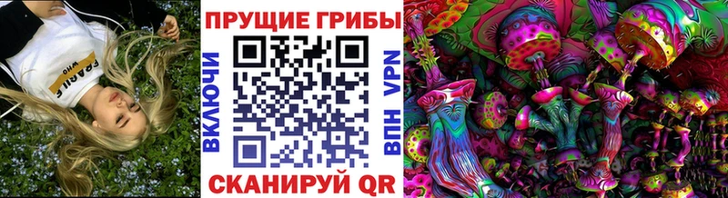 Галлюциногенные грибы Psilocybe  Кирсанов 